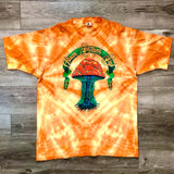 Original Early 1990s Vintage Allman Brothers Band T-Shirt/ Size Large